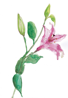 FLOWER ROSE`FR 69